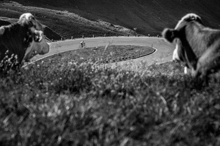 Zwycięzcy konkursu Grand Press Photo