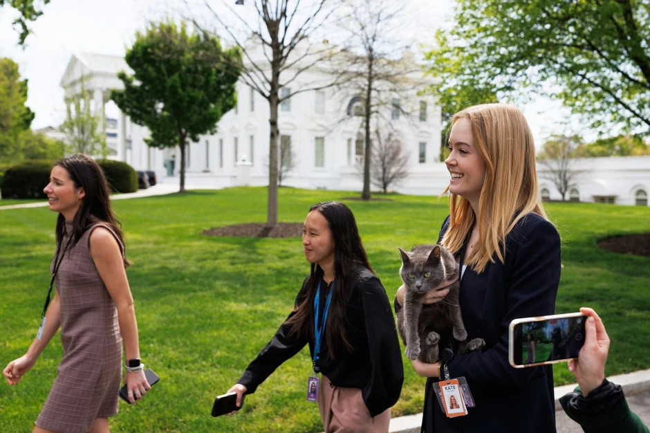 mačka Sofi iz Bele kuće