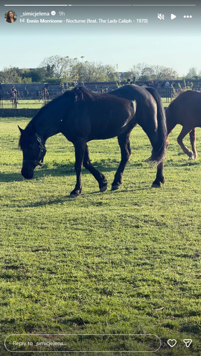 Jelena Simić, objava