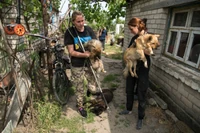 Ratują zwierzęta pod bombami. 