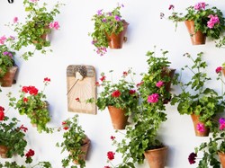 Jak w raju. Kwiatowe patia w Kordobie. ZDJĘCIA