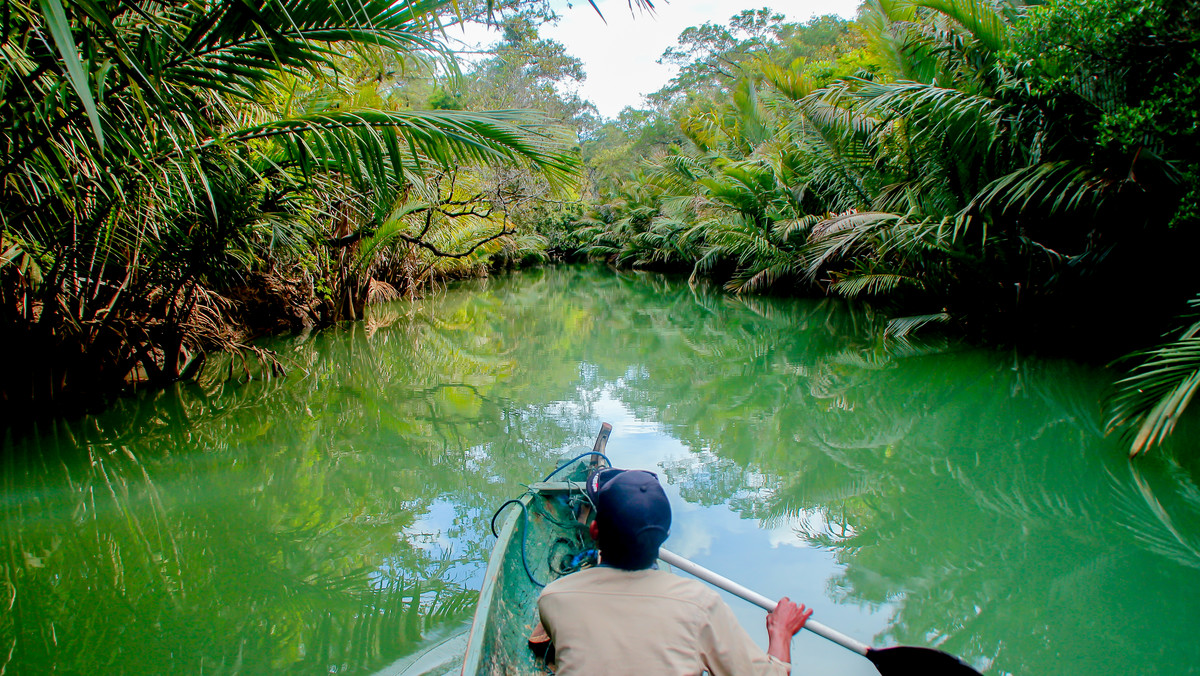 Indonezja: Park Narodowy Ujung Kulon – historia