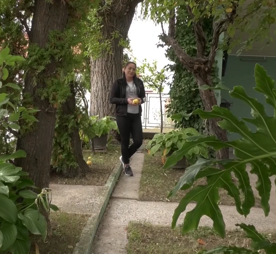 Kuća u Pirotu sa parkom na krovu