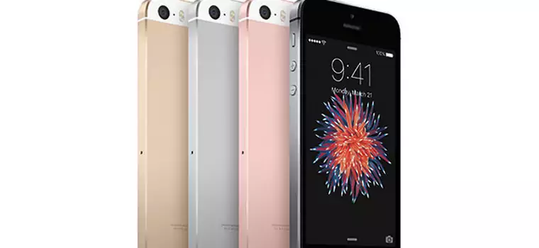 iPhone SE – co warto wiedzieć przed zakupem?