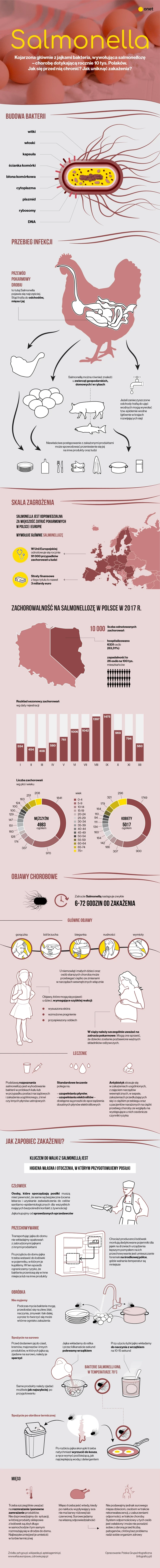 Salmonella [INFOGRAFIKA]