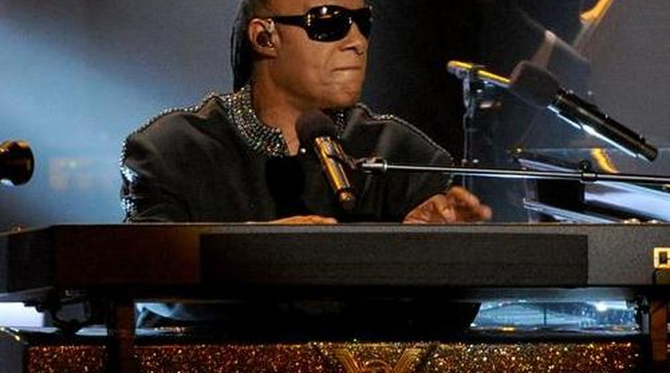 Havi hétmillióért lett elvált ember Stevie Wonder