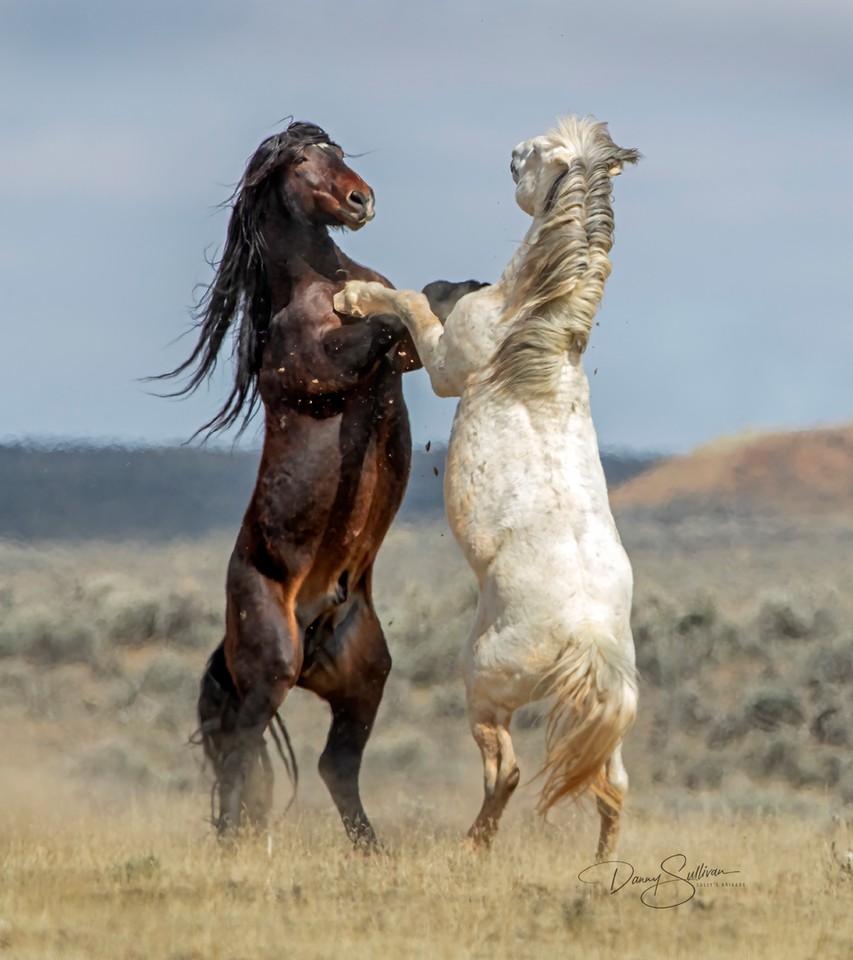 Danny Sullivan, "Doing the Tango"