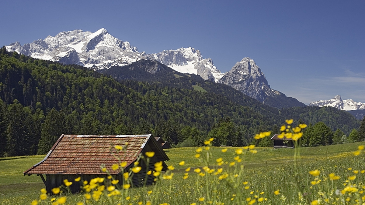 46-letni Szwajcar Freddy Nock zapewnił sobie w sobotę miejsce w Księdze rekordów Guinnessa, wchodząc na najwyższą górę Niemiec - Zugspitze (2963 m) - po kablu kolejki linowej, i to bez jakiegokolwiek zabezpieczenia i bez tyczki balansowej.