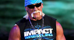 Hulk Hogan w 2011 roku