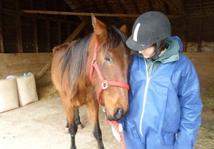 509749_konjic-1-profimedia