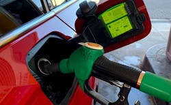 Biopaliwa nie takie znów zielone. Czy polskie auta staną się "czystsze"?