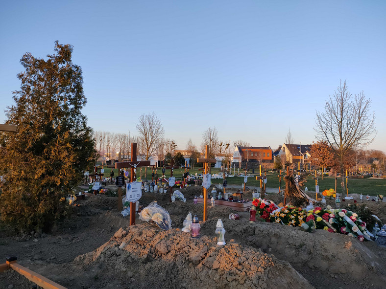 Cmentarz w Szczecinie