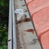 Pronađena droga koja je bačena kroz prozor