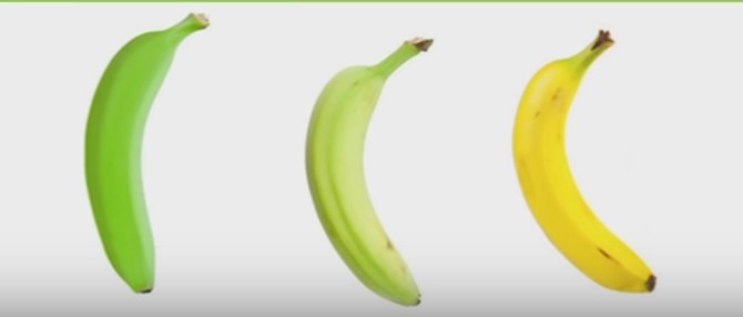 Zelenkaste banane