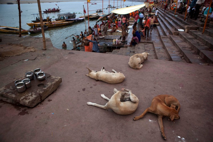 Podróż do Waranasi