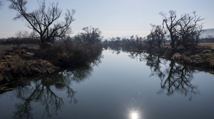 Drámai képek került elő a Sajó folyóról, a helyiek szerint a teljes élővilág elpusztult / Fotó: MTI/Komka Péter