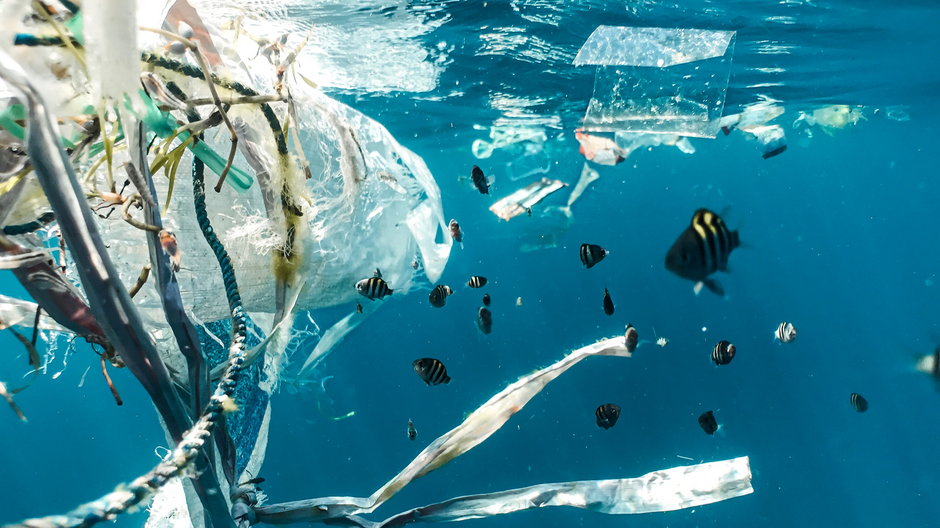 Morza i lądy są zanieczyszczone także przez niewidoczne gołym okiem cząstki mikroplastiku