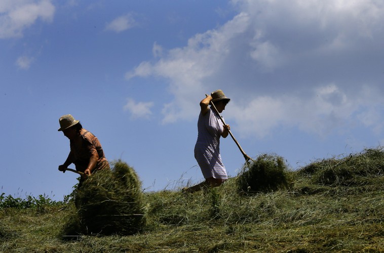 Krajobrazy w wiosce Magura w rumuńskiej Transylwanii