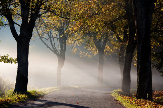 Warmia i Mazury
