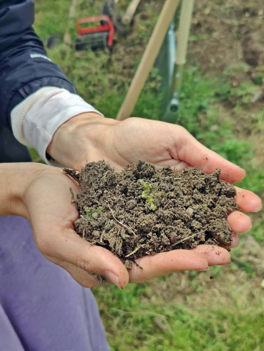 Mamin gaj Gornja Trešnjevica