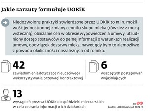 Jakie zarzuty formułuje UOKiK