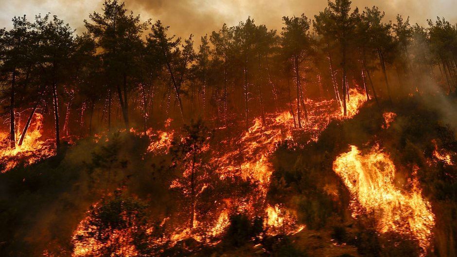 Od tygodnia tureccy ratownicy walczą z pożarami lasów i osiedli