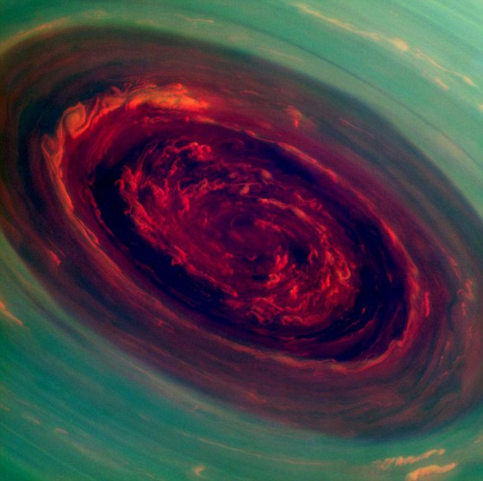 Wir na powierzchni Saturna, przypominający różę