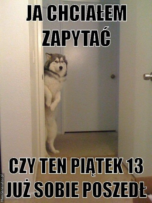 Najśmieszniejsze memy na piątek 13. Rozbawią was do łez