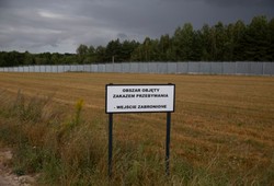 Incydent na granicy z Białorusią. Migrant ukradł żołnierzowi radiotelefon