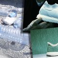 Adidas robi buty z plastikowych butelek zanieczyszczających oceany. Tak wygląda produkcja