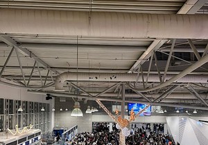 gužva na aerodromu u Atini