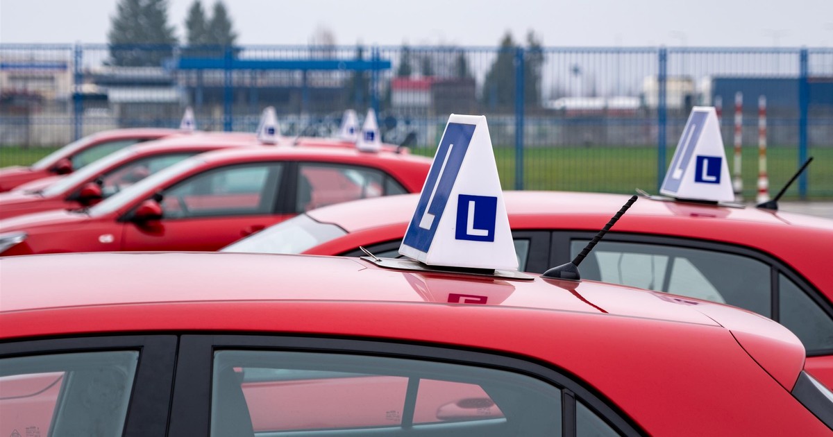 Fala oszustw na egzaminach na prawko. Stoją za tym gangi