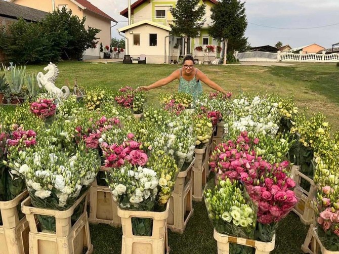 Dragana iz Vilova