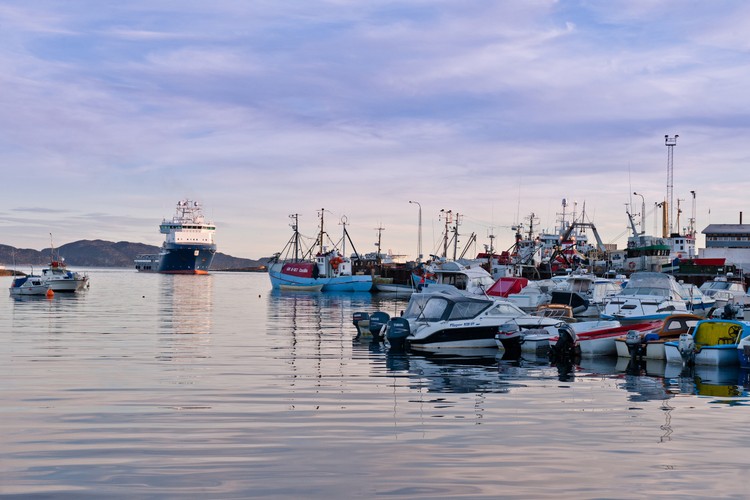 Co ciekawe, mimo uzależnienia od Danii Grenlandia nie stanowi części Unii Europejskiej. Była członkiem Europejskiej Wspólnoty Gospodarczej w rezultacie akcesji Danii, jednak w 1985 roku mieszkańcy Grenlandii wycofali udział swojego kraju w ramach EWG w związku z problemami z prawami do połowu ryb. W ogólnonarodowym referendum zwyciężyli przeciwnicy członkostwa we wspólnotach europejskich.

Na zdjęciu: Port na Grenlandii