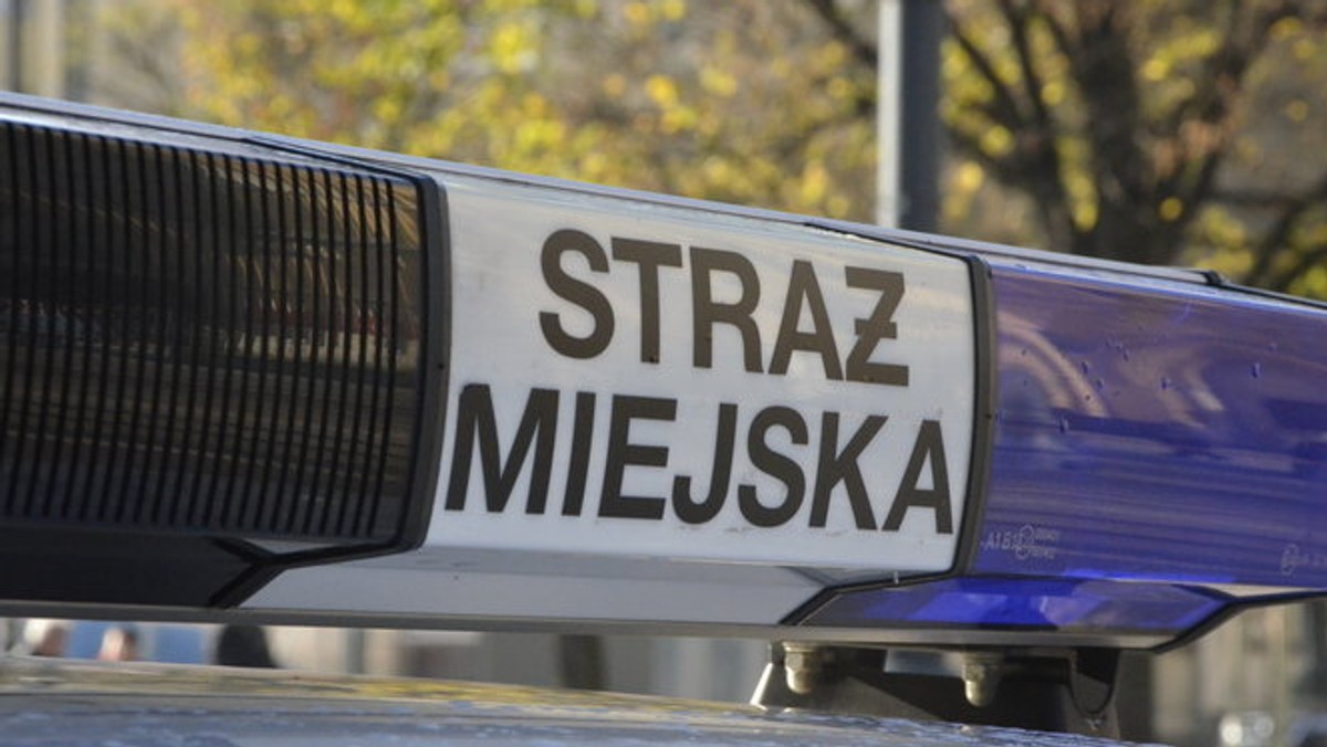 Poznań: straż miejska przesłucha mężczyznę, który przeklinał w internecie