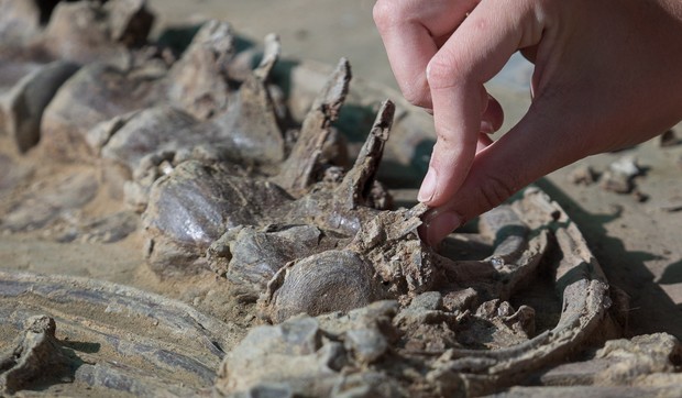 Arheologija, arheolozi EPA David Borrat