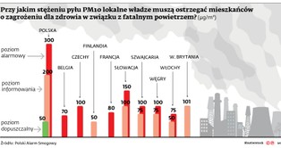 Częstsze informowanie o zanieczyszczeniu powietrza? Rząd za, a nawet przeciw ws. alarmów o smogu
