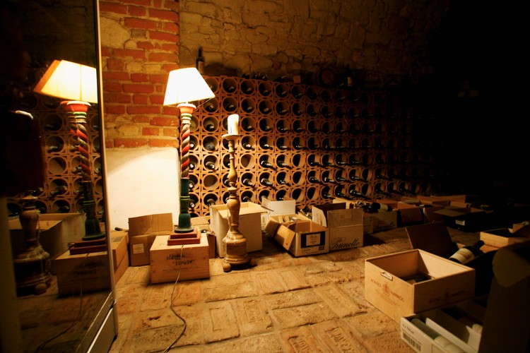 Dom Janusza Palikota