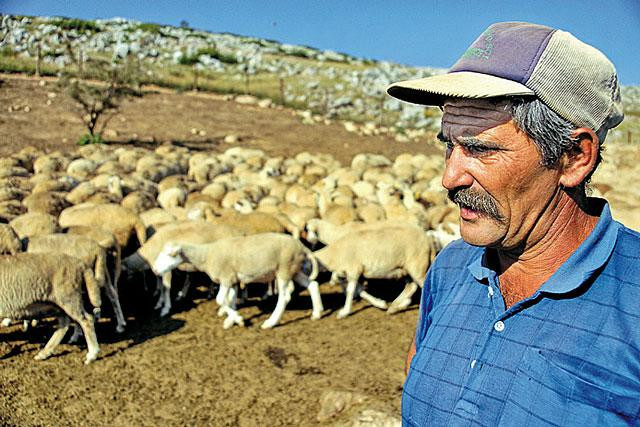 Galeria Macedonia - Esencja Bałkanów, obrazek 9