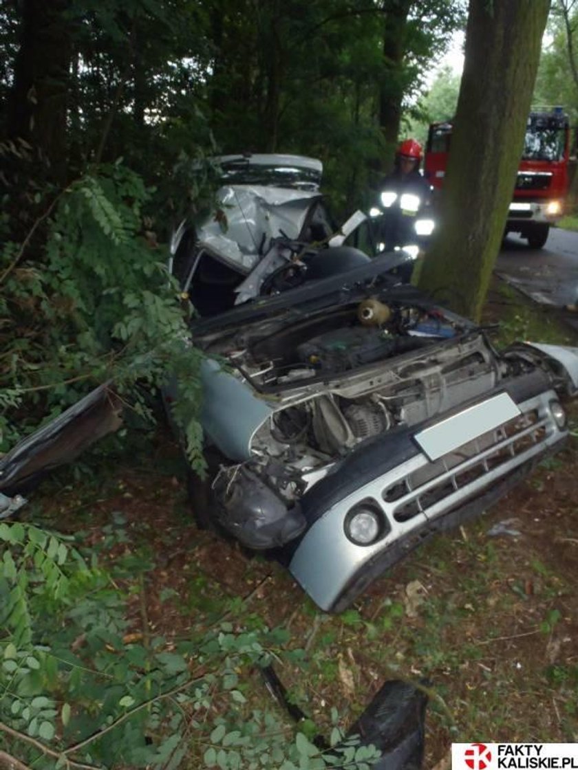 Tragiczny wypadek. Kierowca zginął na miejscu