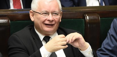 PiS zarobił grube miliony. Sprawozdania finansowe