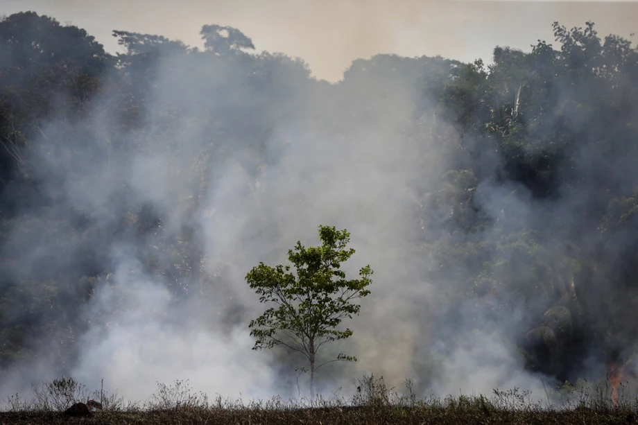 Pożar w pobliżu brazylijskiej autostrady Transamazonian w Manicore w stanie Amazonas. 7 września 2019 r. 