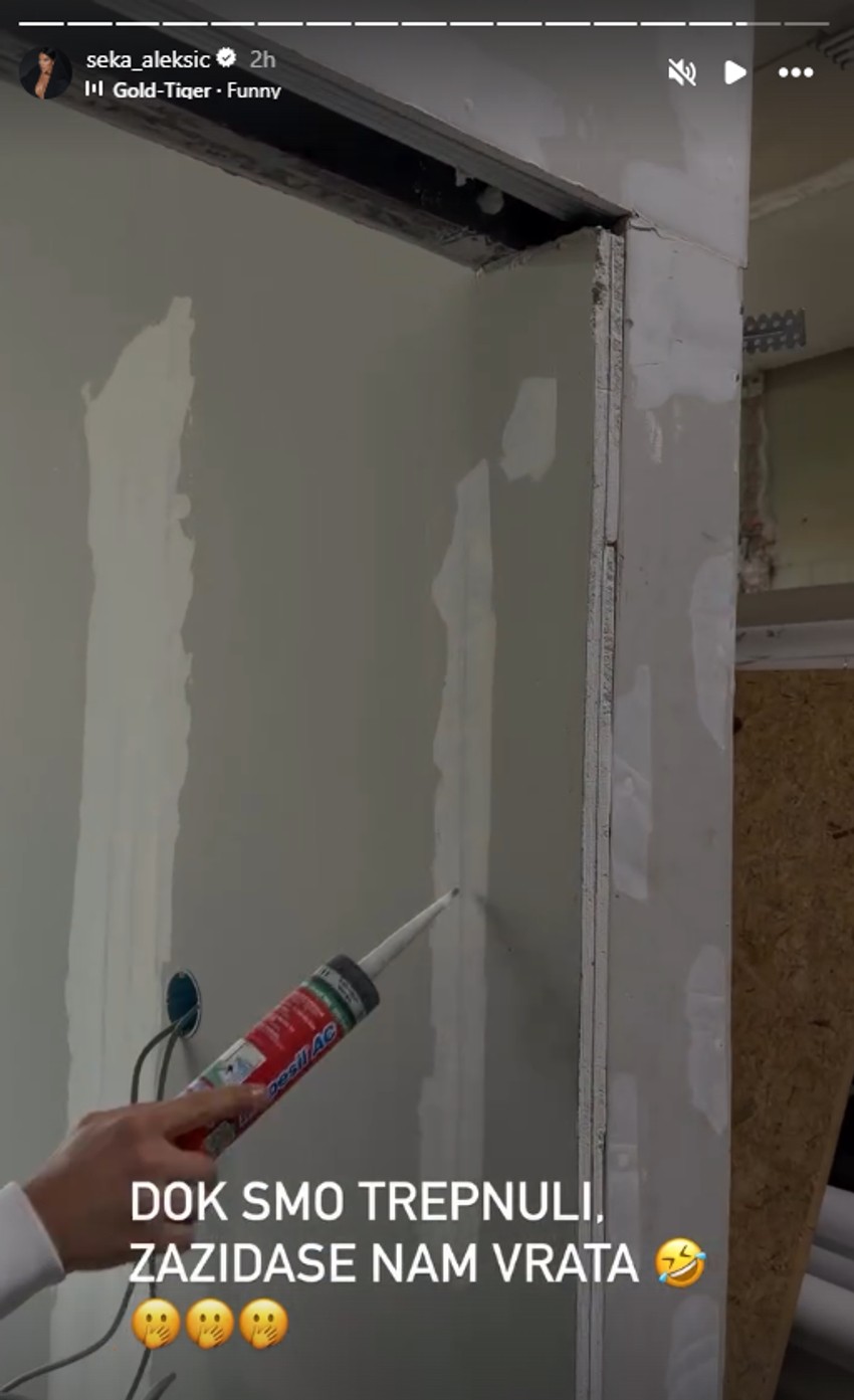 Seka Aleksić, objava