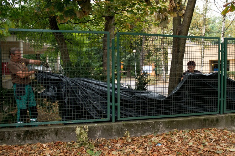 Tragedia we wrocławskim zoo