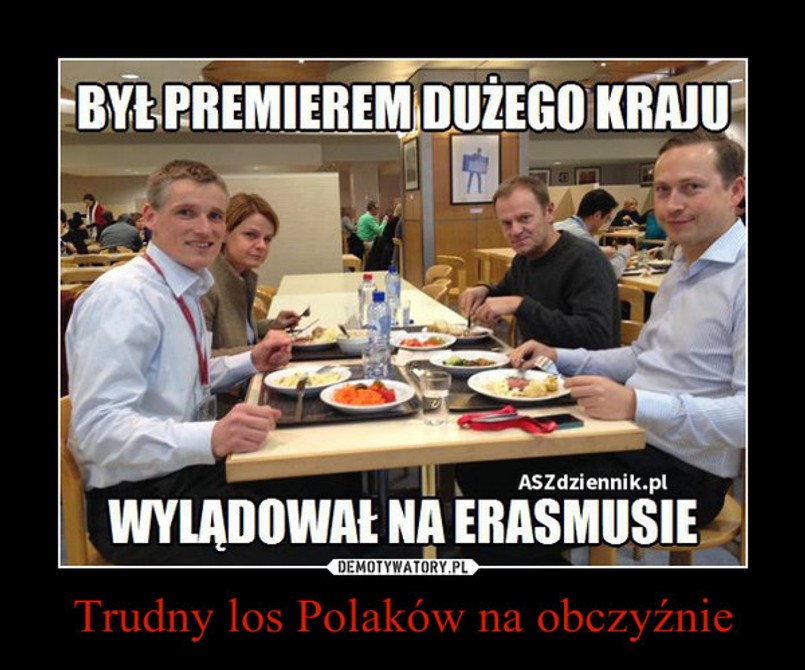 Ile kosztowała Polaków nauka języka dla premiera?