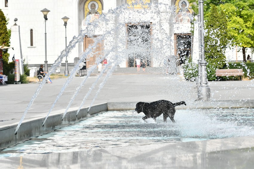 fontana hram 10 foto RAS MIlan Ilic