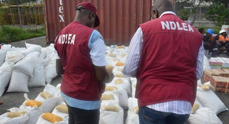 NDLEA seizes 20 tonnes of illicit drugs in Adamawa [dailypost]