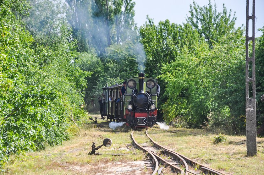 Huczne urodziny