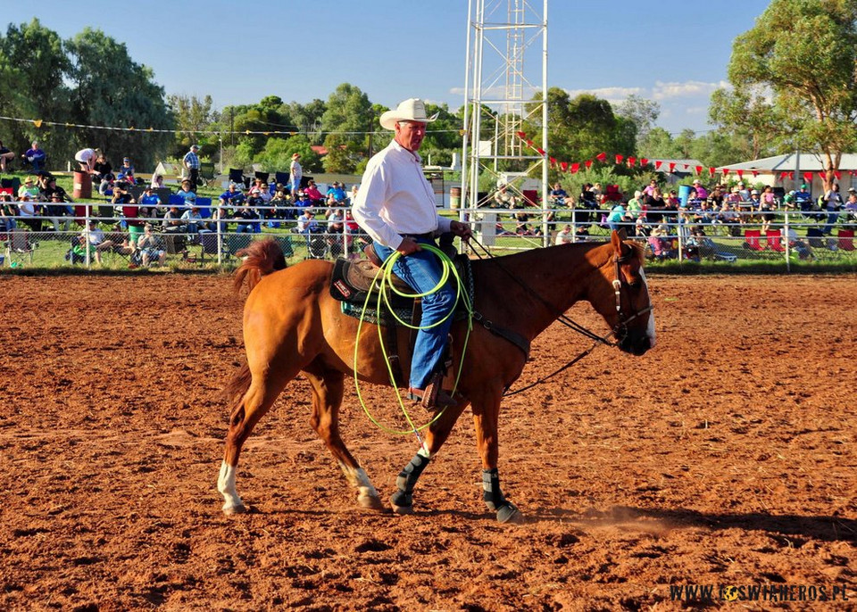 Wilmington Rodeo