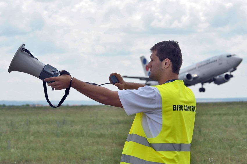 Aparat ima šest do osam melodija koje se menjaju na dve do tri nedelje
